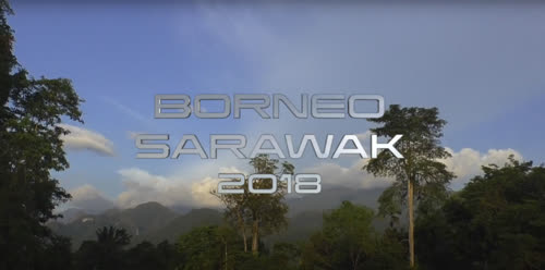 2018_Borneo